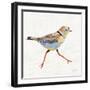 Coastal Plover I Linen-Jeanette Vertentes-Framed Art Print