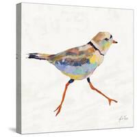 Coastal Plover I Linen-Jeanette Vertentes-Stretched Canvas