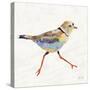 Coastal Plover I Linen-Jeanette Vertentes-Stretched Canvas