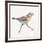 Coastal Plover I Linen-Jeanette Vertentes-Framed Art Print