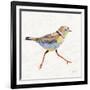 Coastal Plover I Linen-Jeanette Vertentes-Framed Art Print