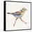 Coastal Plover I Linen-Jeanette Vertentes-Framed Stretched Canvas