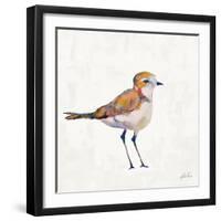 Coastal Plover III Linen-Jeanette Vertentes-Framed Art Print