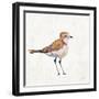 Coastal Plover III Linen-Jeanette Vertentes-Framed Art Print