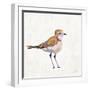 Coastal Plover III Linen-Jeanette Vertentes-Framed Art Print