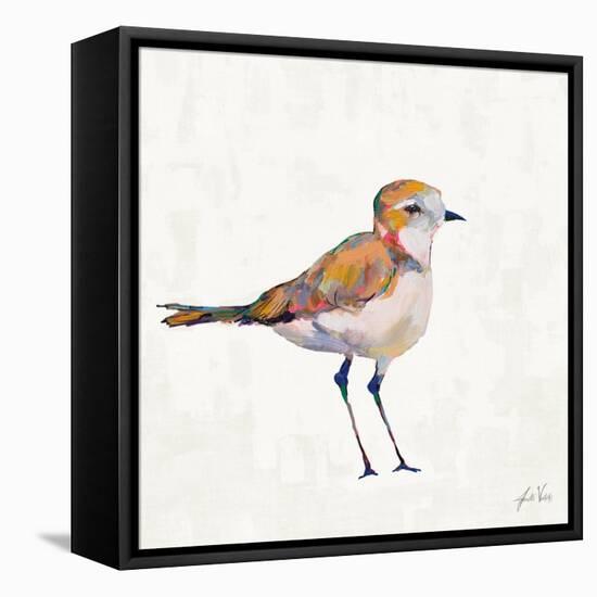 Coastal Plover III Linen-Jeanette Vertentes-Framed Stretched Canvas