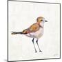 Coastal Plover III Linen-Jeanette Vertentes-Mounted Art Print