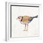 Coastal Plover IV Linen-Jeanette Vertentes-Framed Art Print