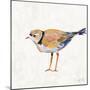 Coastal Plover IV Linen-Jeanette Vertentes-Mounted Art Print