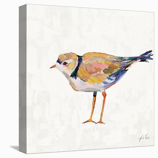 Coastal Plover IV Linen-Jeanette Vertentes-Stretched Canvas