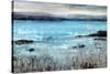 Coastal Point-Tim O'toole-Stretched Canvas