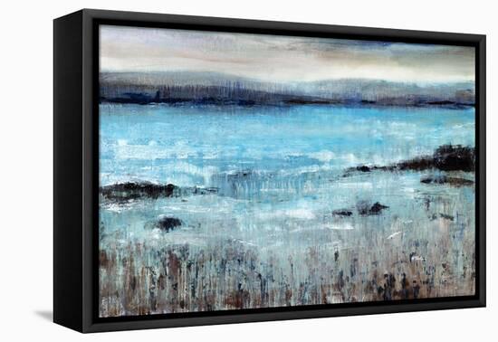Coastal Point-Tim O'toole-Framed Stretched Canvas