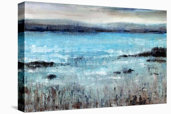 Coastal Point-Tim O'toole-Stretched Canvas