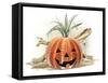 Coastal Pumpkin Still Life-Lauren Rader-Framed Stretched Canvas