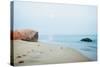 Coastal Rocks-Aledanda-Stretched Canvas