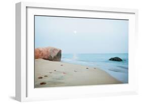 Coastal Rocks-Aledanda-Framed Premium Giclee Print