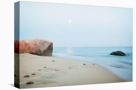 Coastal Rocks-Aledanda-Stretched Canvas