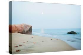 Coastal Rocks-Aledanda-Stretched Canvas