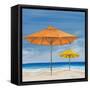 Coastal Scene I-Tiffany Hakimipour-Framed Stretched Canvas