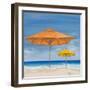 Coastal Scene I-Tiffany Hakimipour-Framed Art Print