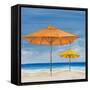 Coastal Scene I-Tiffany Hakimipour-Framed Stretched Canvas