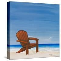 Coastal Scene III-Tiffany Hakimipour-Stretched Canvas