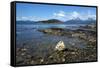 Coastal scene in the Tierra del Fuego National Park, Tierra del Fuego, Argentina, South America-David Pickford-Framed Stretched Canvas