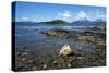 Coastal scene in the Tierra del Fuego National Park, Tierra del Fuego, Argentina, South America-David Pickford-Stretched Canvas