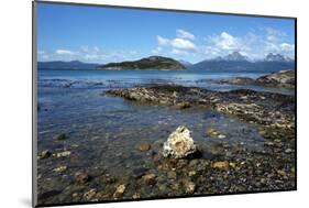 Coastal scene in the Tierra del Fuego National Park, Tierra del Fuego, Argentina, South America-David Pickford-Mounted Photographic Print