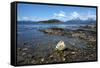 Coastal scene in the Tierra del Fuego National Park, Tierra del Fuego, Argentina, South America-David Pickford-Framed Stretched Canvas