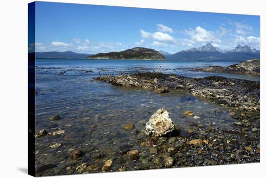 Coastal scene in the Tierra del Fuego National Park, Tierra del Fuego, Argentina, South America-David Pickford-Stretched Canvas