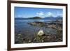 Coastal scene in the Tierra del Fuego National Park, Tierra del Fuego, Argentina, South America-David Pickford-Framed Photographic Print