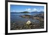 Coastal scene in the Tierra del Fuego National Park, Tierra del Fuego, Argentina, South America-David Pickford-Framed Photographic Print