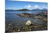 Coastal scene in the Tierra del Fuego National Park, Tierra del Fuego, Argentina, South America-David Pickford-Mounted Photographic Print