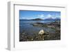 Coastal scene in the Tierra del Fuego National Park, Tierra del Fuego, Argentina, South America-David Pickford-Framed Premium Photographic Print