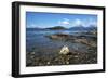 Coastal scene in the Tierra del Fuego National Park, Tierra del Fuego, Argentina, South America-David Pickford-Framed Photographic Print