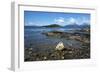 Coastal scene in the Tierra del Fuego National Park, Tierra del Fuego, Argentina, South America-David Pickford-Framed Photographic Print