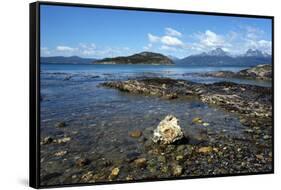 Coastal scene in the Tierra del Fuego National Park, Tierra del Fuego, Argentina, South America-David Pickford-Framed Stretched Canvas