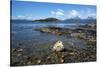 Coastal scene in the Tierra del Fuego National Park, Tierra del Fuego, Argentina, South America-David Pickford-Stretched Canvas