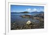 Coastal scene in the Tierra del Fuego National Park, Tierra del Fuego, Argentina, South America-David Pickford-Framed Photographic Print