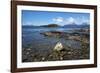 Coastal scene in the Tierra del Fuego National Park, Tierra del Fuego, Argentina, South America-David Pickford-Framed Photographic Print