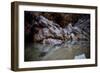 Coastal Scenery in England-David Baker-Framed Photographic Print