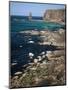 Coastal Sea Cliffs and Stacks, Near Cape Wrath and Sandwood Bay, Highland Region, Scotland-Duncan Maxwell-Mounted Premium Photographic Print