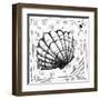 Coastal Sea Scallop Shell Beach Sketch-Megan Aroon Duncanson-Framed Art Print