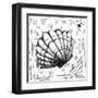 Coastal Sea Scallop Shell Beach Sketch-Megan Aroon Duncanson-Framed Art Print