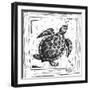 Coastal Sea Turtle Ocean Beach Sketch-Megan Aroon Duncanson-Framed Art Print