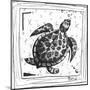 Coastal Sea Turtle Ocean Beach Sketch-Megan Aroon Duncanson-Mounted Art Print