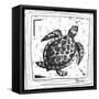 Coastal Sea Turtle Ocean Beach Sketch-Megan Aroon Duncanson-Framed Stretched Canvas