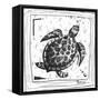 Coastal Sea Turtle Ocean Beach Sketch-Megan Aroon Duncanson-Framed Stretched Canvas