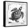 Coastal Sea Turtle Ocean Beach Sketch-Megan Aroon Duncanson-Framed Stretched Canvas